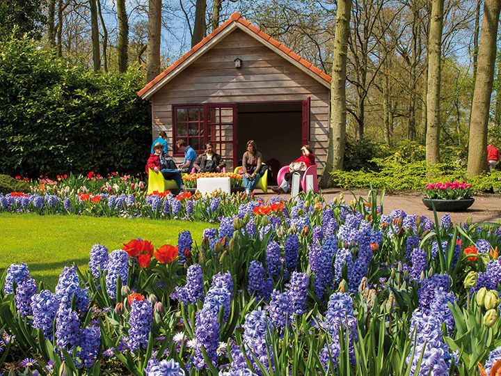 Du Lịch Châu Âu Pháp  Bỉ  Hà Lan 8 ngày lễ hội hoa Keukenhof từ Hà Nội